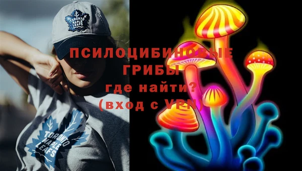 молекула духа Абинск