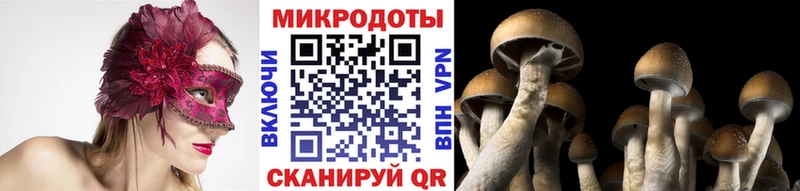 Псилоцибиновые грибы мухоморы hydra как зайти Райчихинск